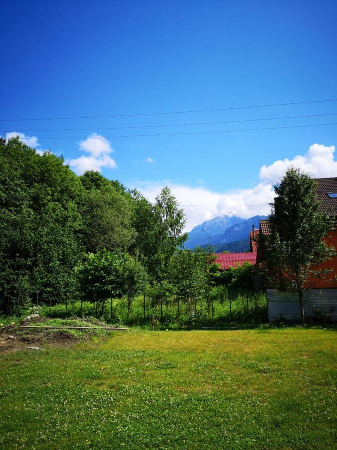 Cedar Crest Aparthotel Rîşnov Buitenkant foto